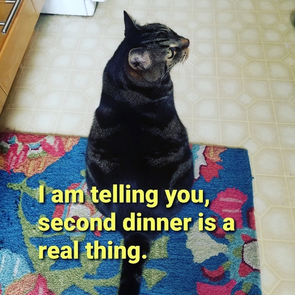 Meet your Posher, Serena - Picture 6 of 6